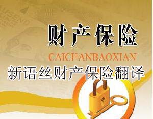 北京翻译公司,财产保险翻译