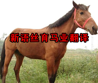 ����˿����ҵ����